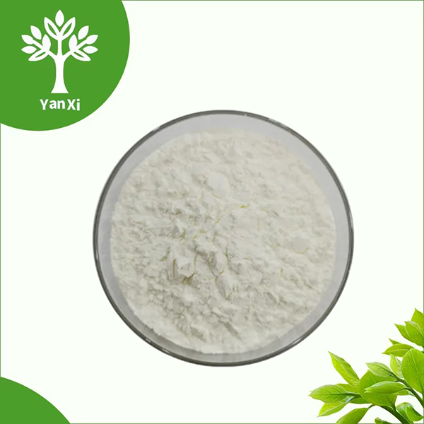 Sodium Alginate Bulk Sodium Alginate Bulk